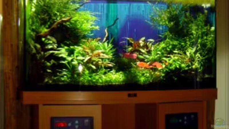 29.04.2006 Komplettansicht I. von David Weidenbacher (3)