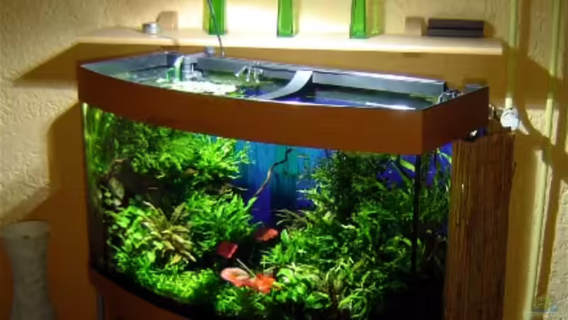 29.04.2006 Komplettansicht II. von David Weidenbacher (2)