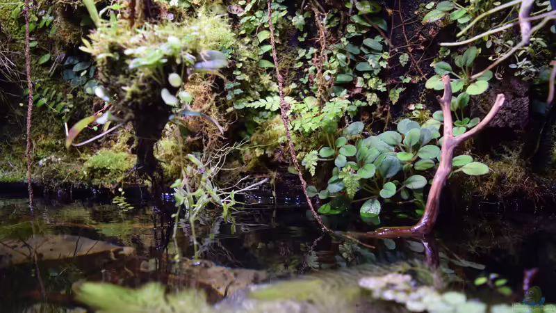 29.04.2018 von Junglist (4)