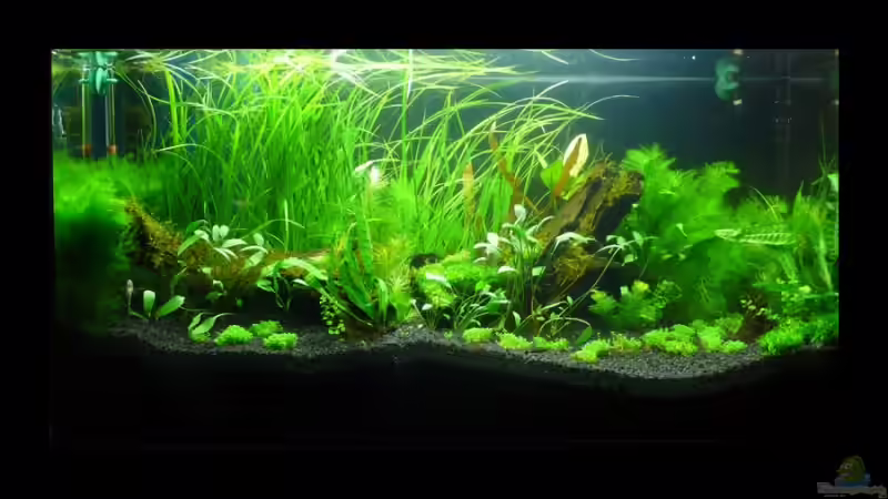 29.05.09 - Einrichtung Teil 2 von Torsten Franke (3)