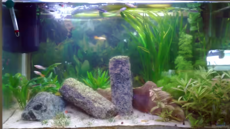 29.05.2009 von Welslau (4)