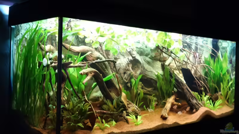 29.05.2017 von Atacama (5)