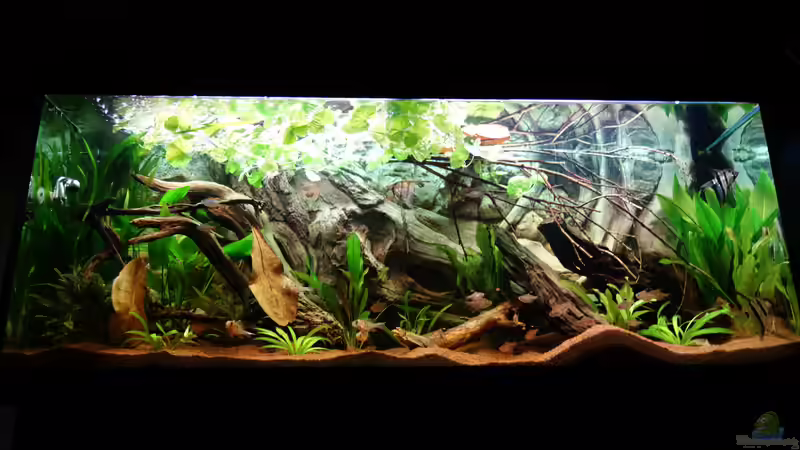 29.05.2017 von Atacama (6)