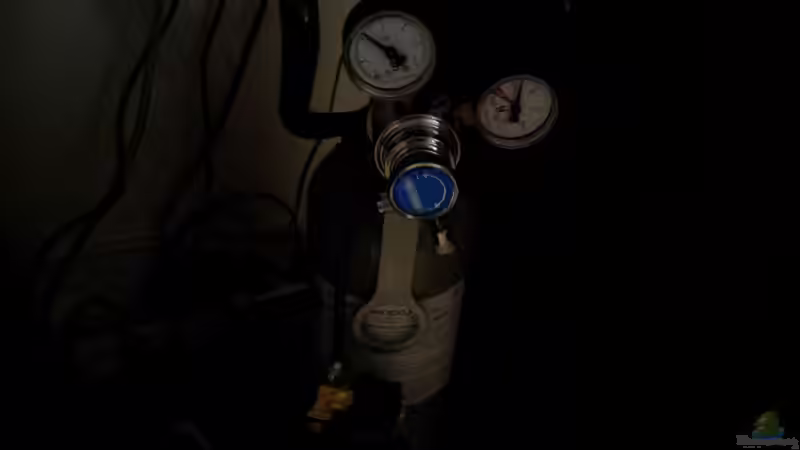 29-06-2012 von &lt;--- sebi ---&gt; (30)