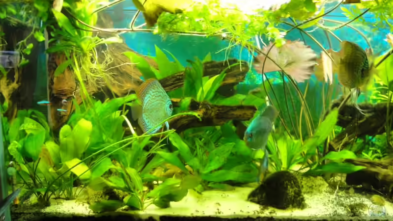 29.08.2010 von Laura (6)