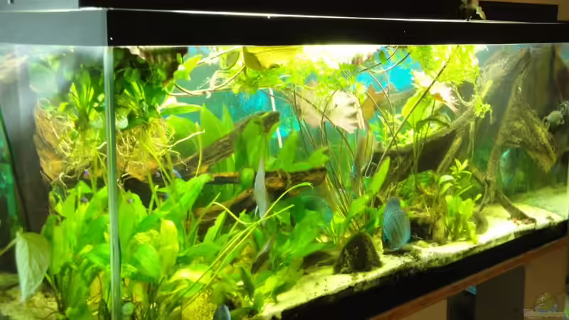 29.08.2010 von Laura (7)