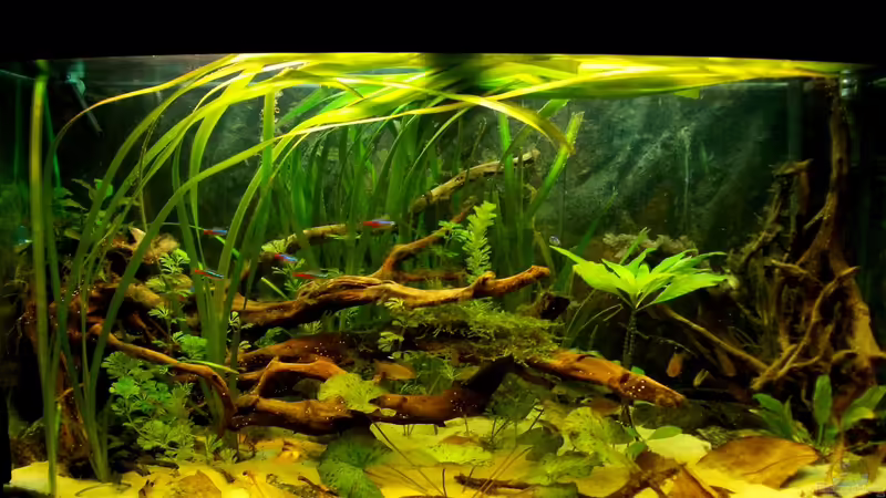 29.09.2012 von Koehler (18)