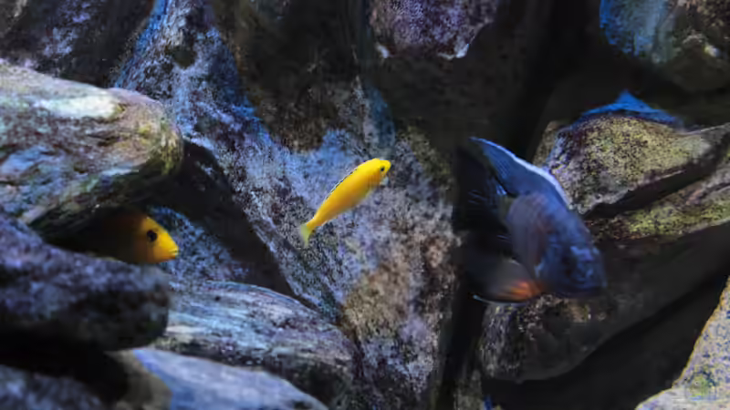 29.09.2014 von Marco O. (42)