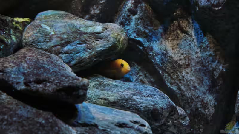 29.09.2014 von Marco O. (44)