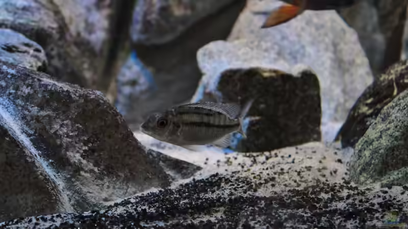 29.09.2014 von Marco O. (45)