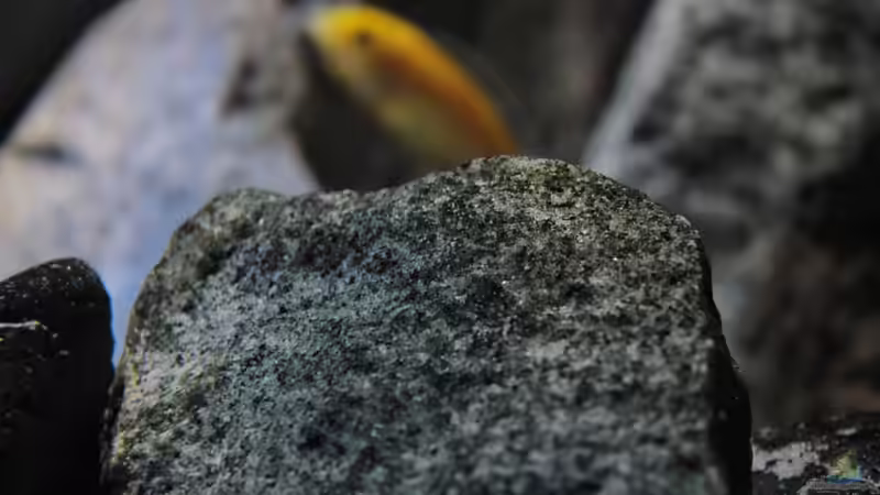 29.09.2014 von Marco O. (46)