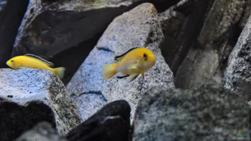 29.09.2014 von Marco O. (48)