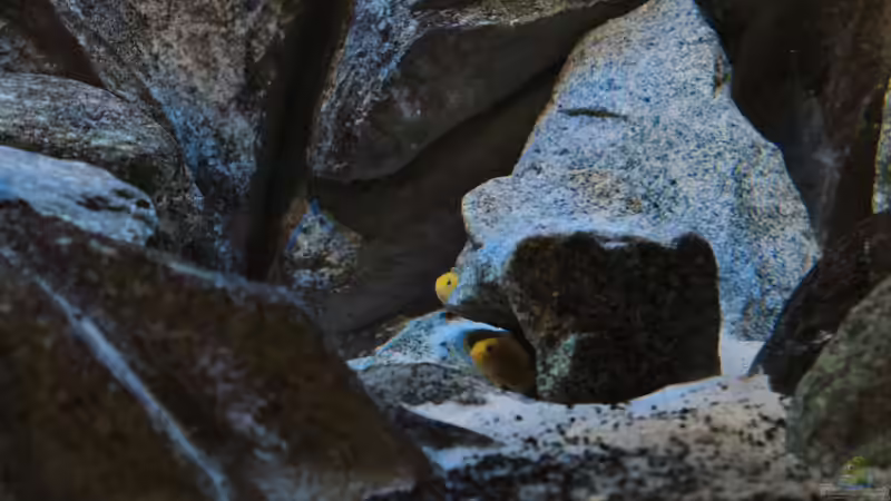 29.09.2014 von Marco O. (49)