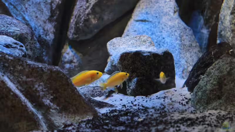 29.09.2014 von Marco O. (50)