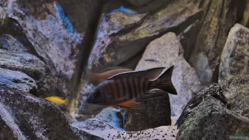 29.09.2014 von Marco O. (51)