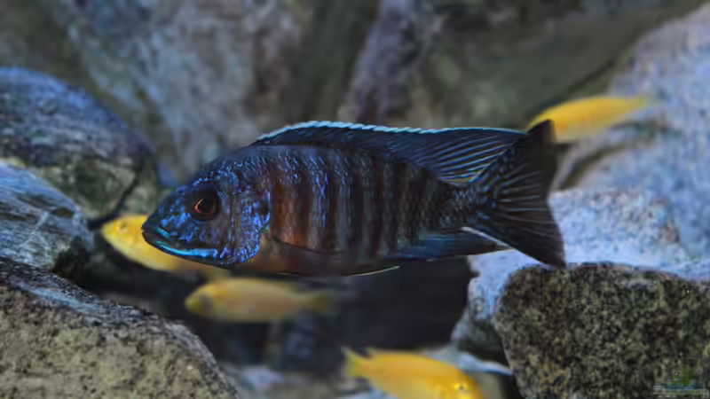 29.09.2014 von Marco O. (53)