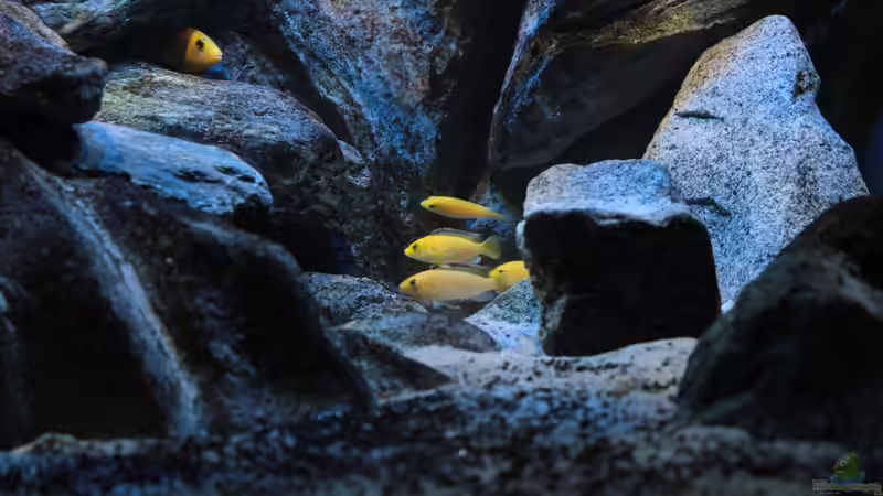 29.09.2014 von Marco O. (54)