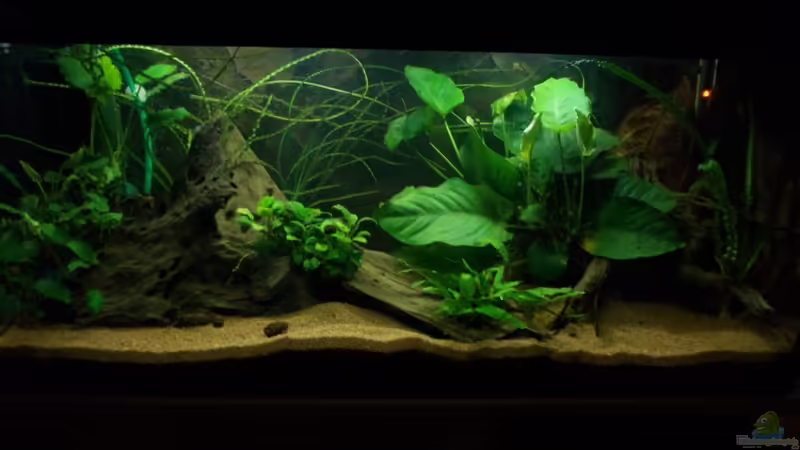 29.10.2011 von Koehler (3)