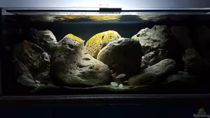 29.11.  die Patina wächst  von Mel (13)