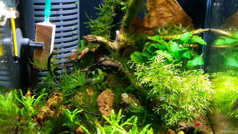 29.11.2012 von Koehler (12)