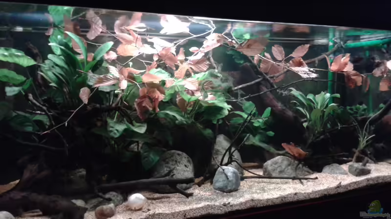 *29.11.2013* von lützkopf (25)