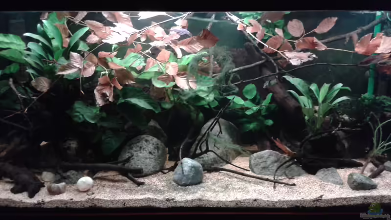 *29.11.2013* von lützkopf (27)