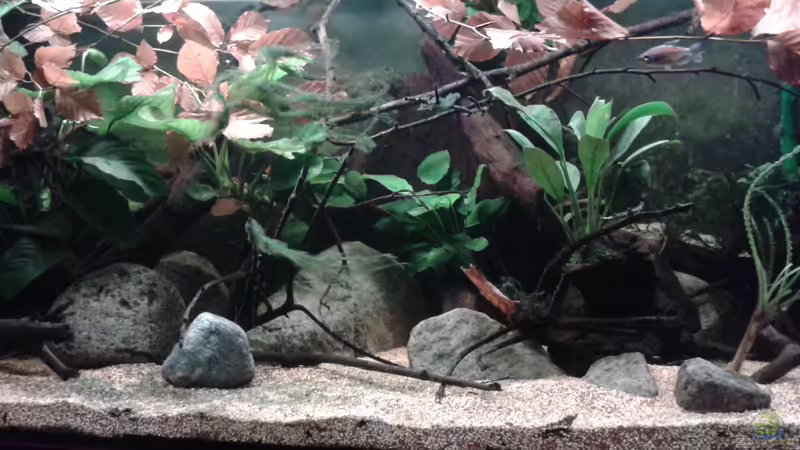 *29.11.2013* von lützkopf (28)