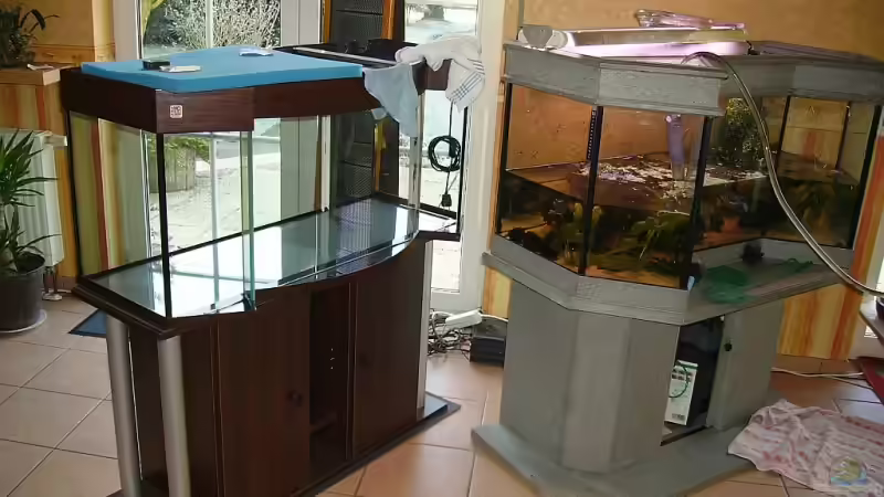 29.12.08 Umzug ! Das alte Becken wird stillgelegt, das neue startet. von WSS (19)