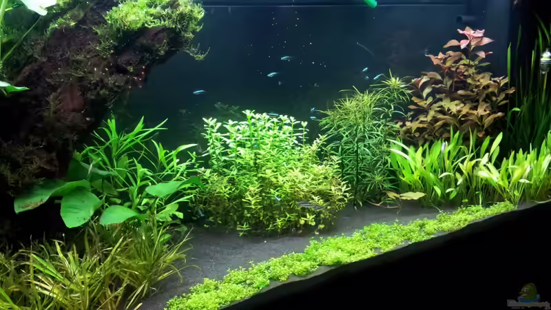 29.12.13 von Terence Hill (6)