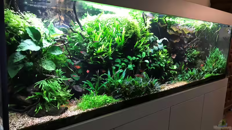 29.12.19 von Der Nicky (4)