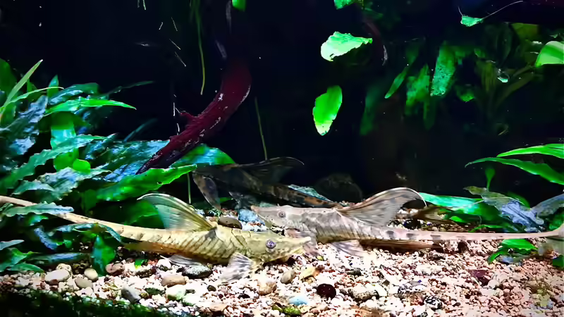 29.12.19 von Der Nicky (92)