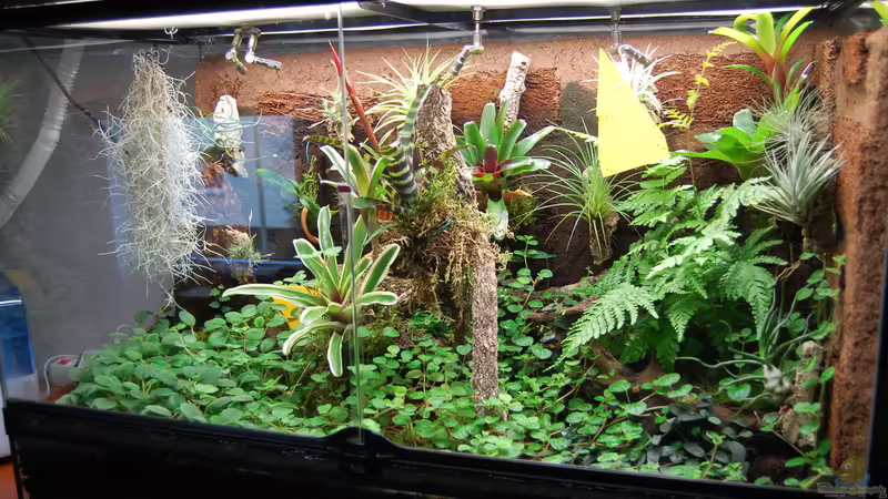 29.12.2012 von Junglist (39)