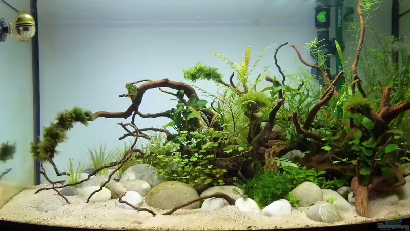 29.12.2013 von Martin W. (14)