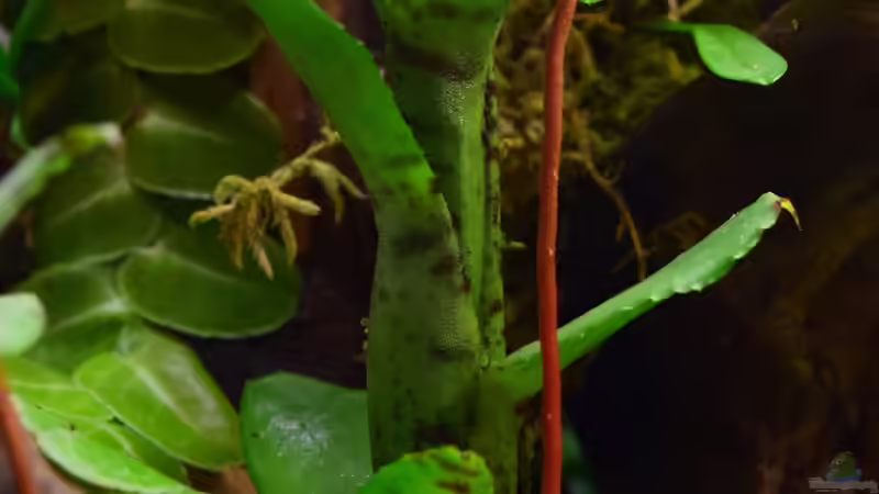 29.12.2018 von Junglist (32)