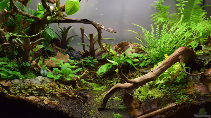 29.12.2018 von Junglist (6)