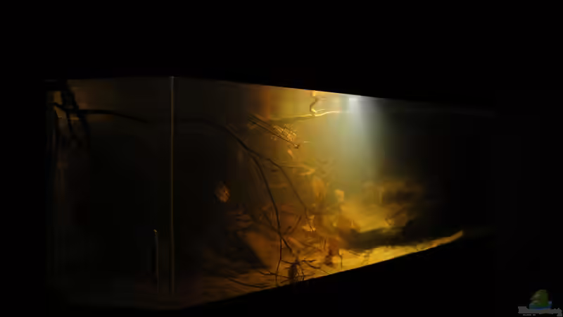 29.6.14 von Laura (17)