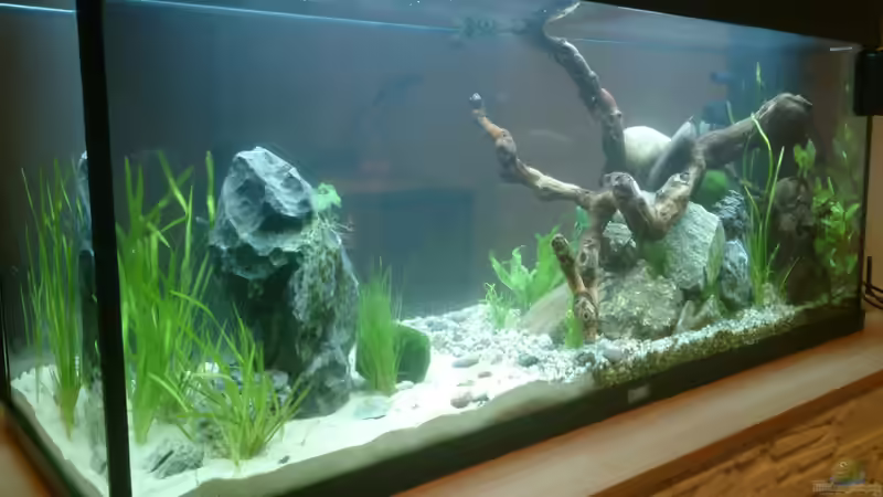 29.April 2014 von Plastikblume (1)