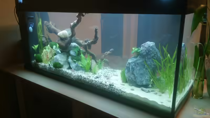 29.April 2014 von Plastikblume (4)