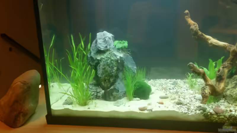 29.April 2014 von Plastikblume (5)