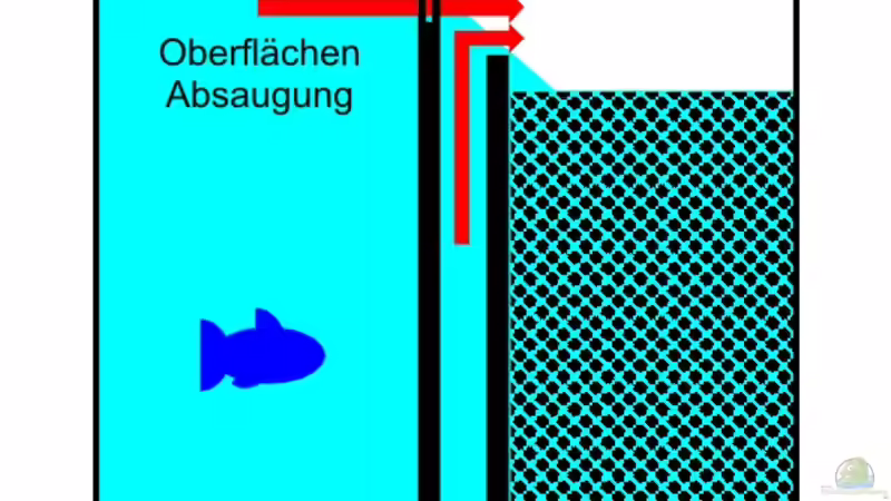 2in1 Oberflächen- UND Bodenabsaugung für den ??berlaufschacht