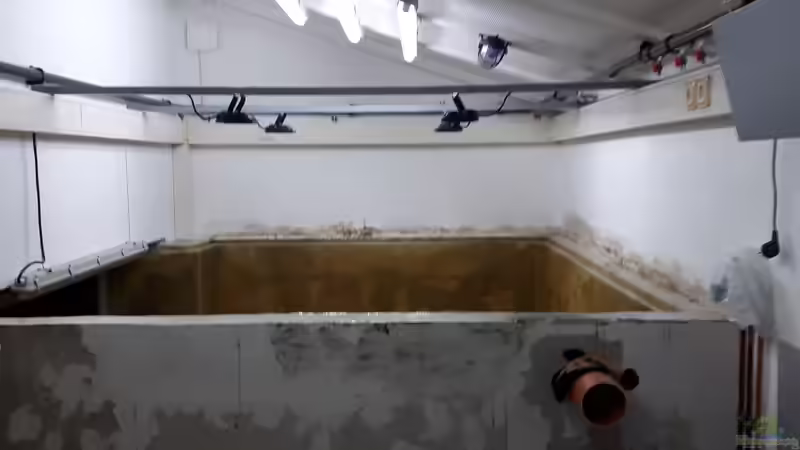 2K-Epoxid / dritte Schicht, Installation Beleuchung von 8 CBM (33)