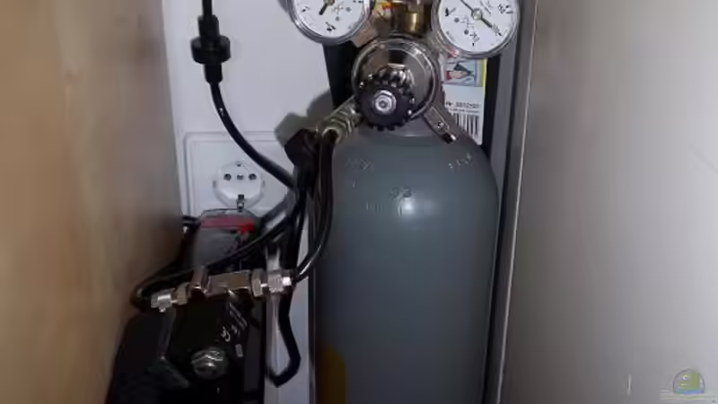 2kg Co2 Flasche  von Zebraschneggla (37)