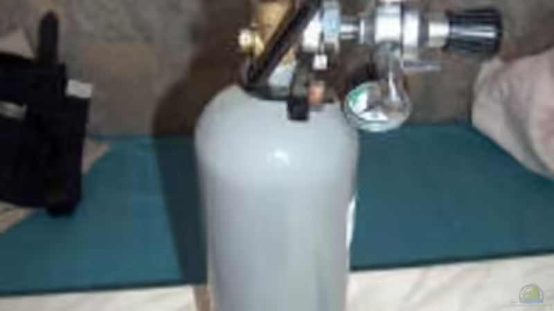 2kg CO2 von Tobias Hans (9)