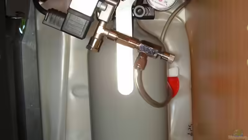 2kg CO2 von Wels-fan (35)