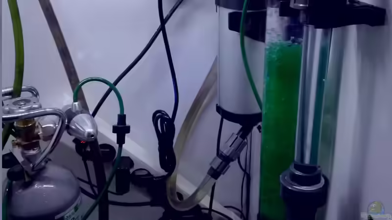 2kg-Flasche CO2 mit Einwaschanlage vorne rechts und UVC-Klärer hinten rechts. Die Steckdosenleiste wurde selbstverständlich umplatziert.  von Lance Hardwood (57)
