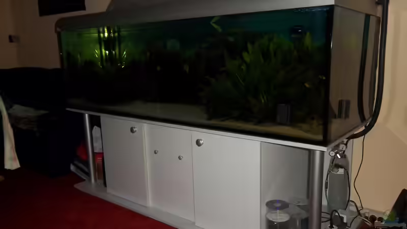 2o12 jetzt von Cliff Lehmann (10)