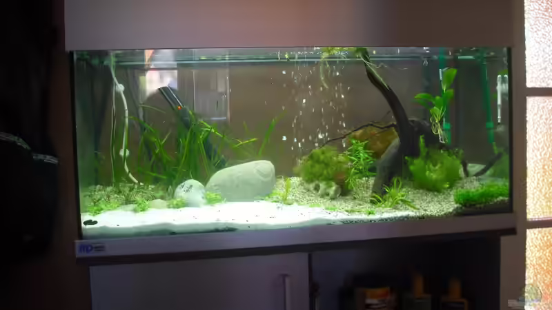 2tage nach Ersteinrichtung von Fireman (4)