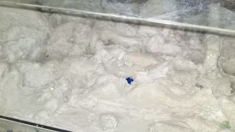 2te schicht kommt drauf von Harry Penner (17)