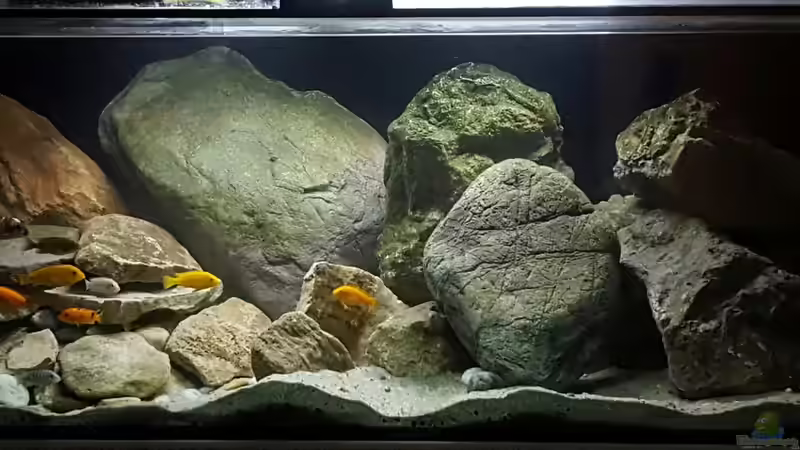 2ter Versuch - Juni 2017 von Mel (6)