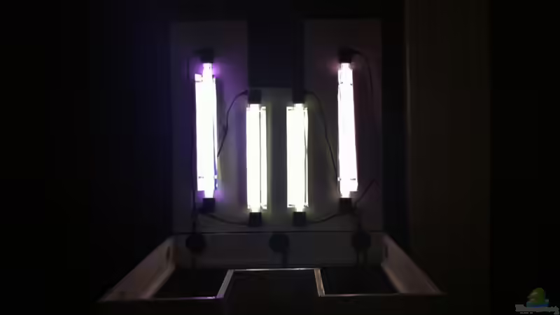 2x 15 Watt und 2x 14 Watt von GenesisEpoche (11)